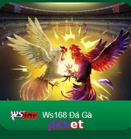 pkbet